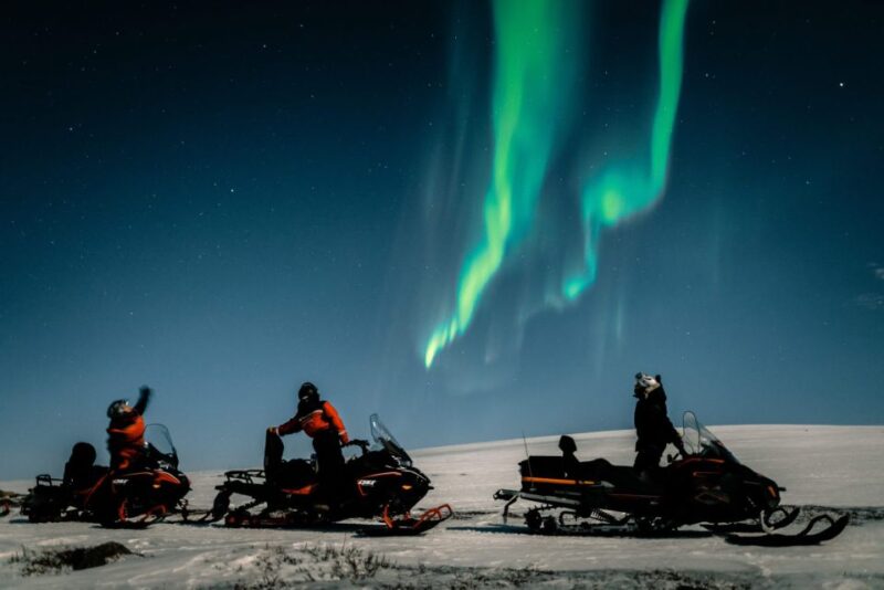 Northern Lights Adventure By Snowmobile - Experience Highlights