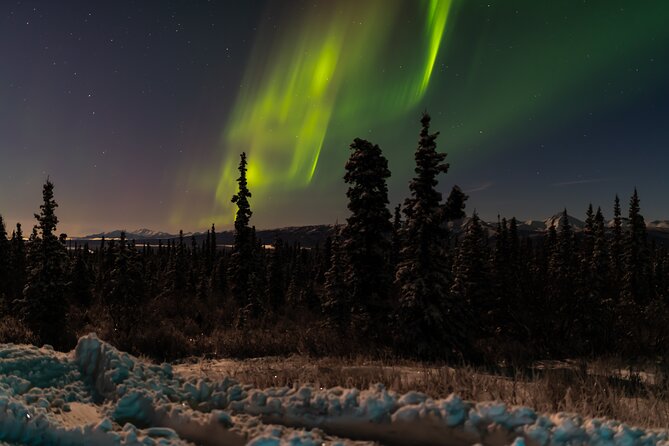 Northern Lights Adventure of a Liftetime From Anchorage - Included Amenities and Gear