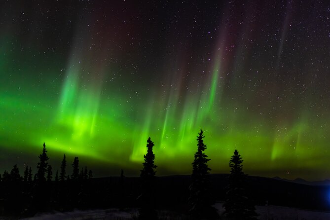 Northern Lights Adventure of a Liftetime From Anchorage - Confirmation and Accessibility