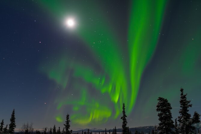 Northern Lights Adventure of a Liftetime From Anchorage - Group Size and Policies
