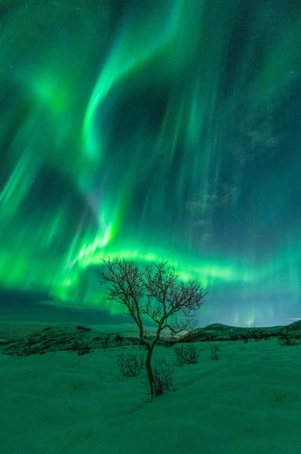 Northern Lights Adventure - Important Information