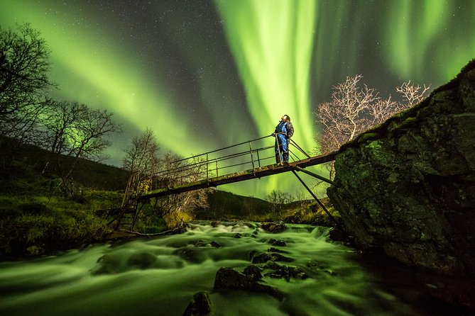 Northern Lights Adventure With Greenlander, 8 People Max - Meeting and Pickup