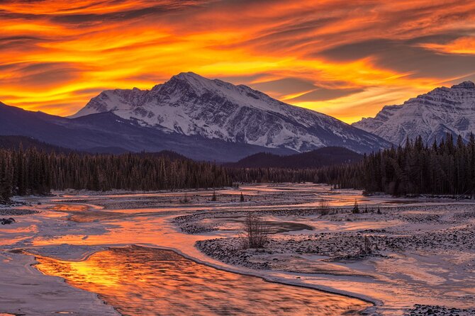 Northern Lights Alaska 6 Day Tour - Meeting and End Points