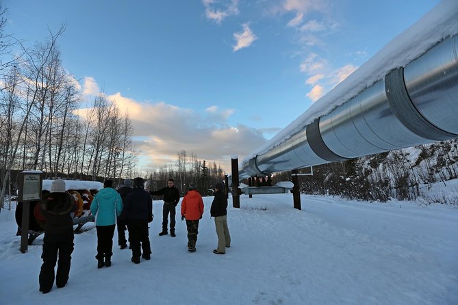 Northern Lights and Arctic Circle Trip From Fairbanks - Tour Details