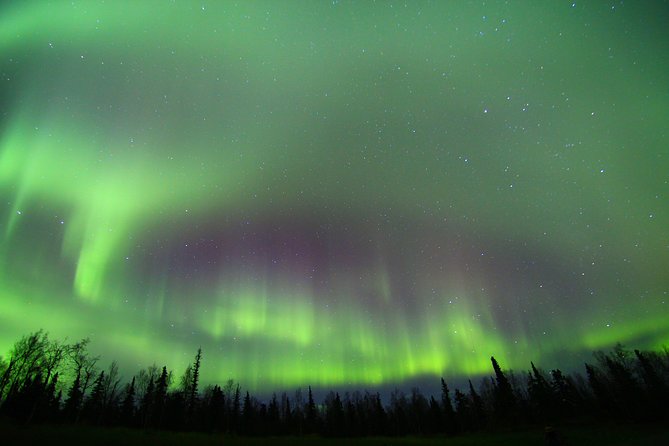 Northern Lights and Arctic Circle Trip From Fairbanks - Logistics