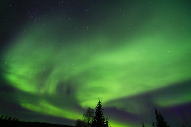 Northern Lights and Arctic Circle Trip From Fairbanks - Booking Information