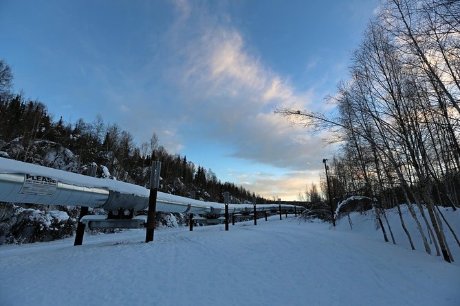 Northern Lights and Arctic Circle Trip From Fairbanks - Arctic Circle and Northern Lights Experience