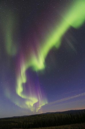 Northern Lights and Chena Hot Springs Night Tour From Fairbanks - Group Size and Age Limit