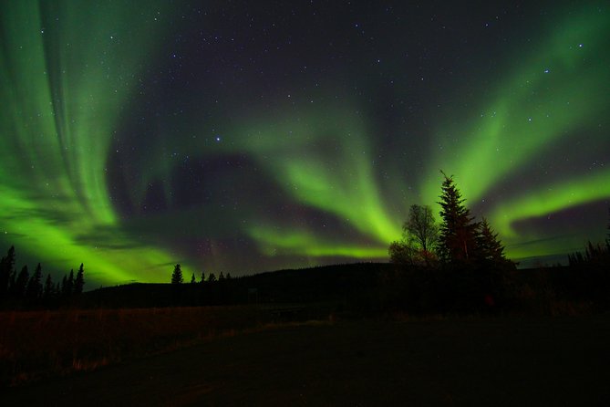 Northern Lights and Chena Hot Springs Night Tour From Fairbanks - Accessibility Considerations