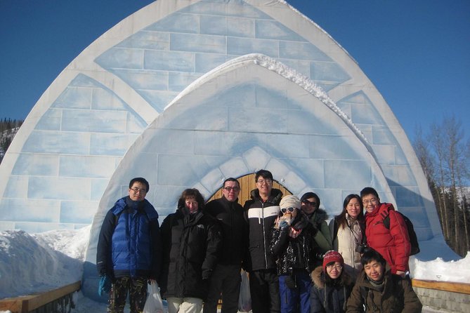 Northern Lights and Chena Hot Springs Tour From Fairbanks - Itinerary