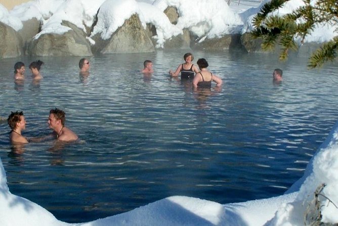 Northern Lights and Chena Hot Springs Tour From Fairbanks - Activities Included