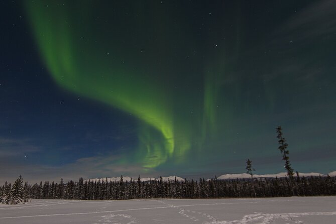 Northern Lights & Aurora Borealis Viewing - Small Groups - Inclusions and Amenities