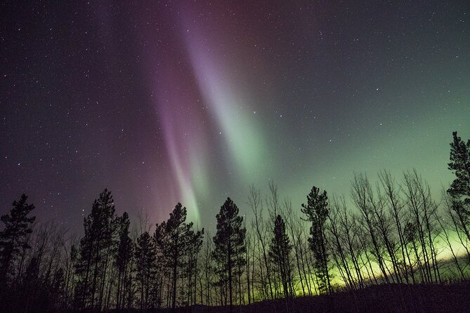 Northern Lights & Aurora Borealis Viewing - Small Groups - Suitability for Travelers
