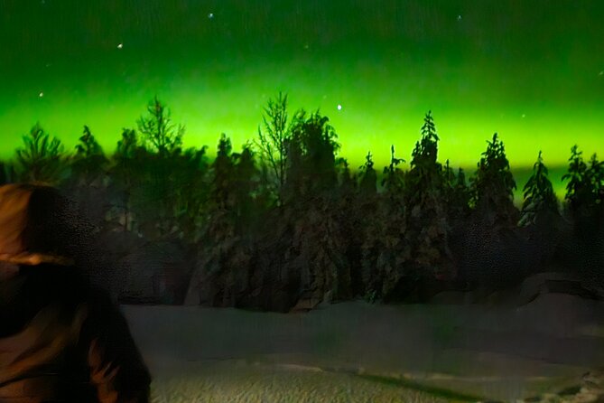 Northern Lights Aurora From Kemi With Pickup - Small-Group Excursion