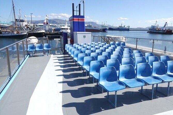 Northern Lights Boat Cruise From Reykjavik - Booking and Meeting Information