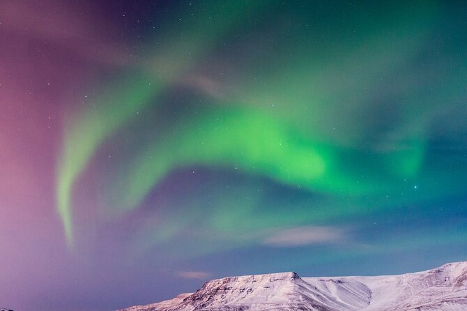 Northern Lights Boat Cruise From Reykjavik - On-board Offerings and Facilities