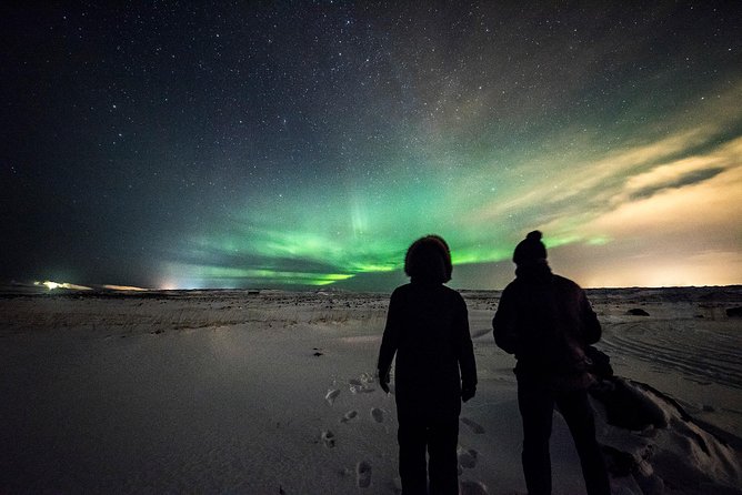 Northern Lights Bus Tour From Reykjavik - Northern Lights Viewing Opportunities