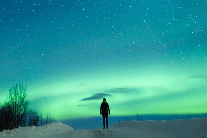 Northern Lights Bus Tour From Reykjavik - Rebooking and Cancellation Policy