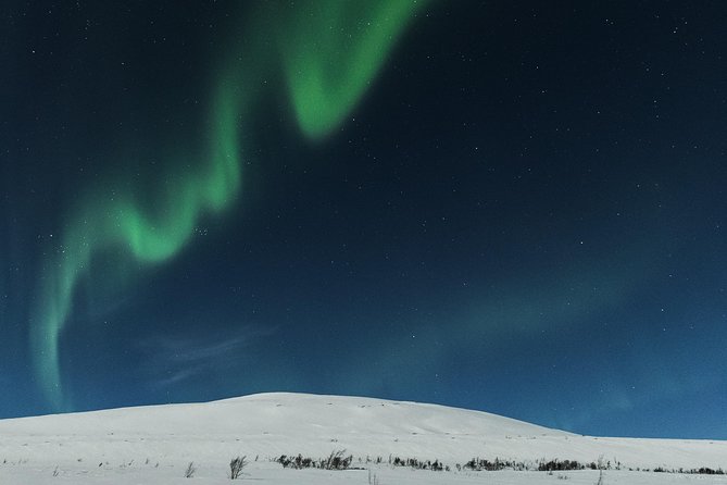 Northern Lights Cable Car Excursion - Customer Reviews