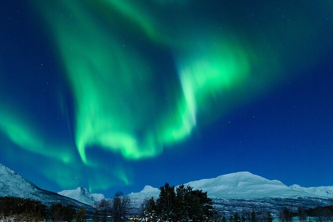 Northern Lights Chase by Bus in Tromso - Inclusions and Pricing
