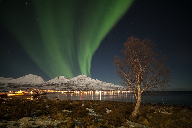 Northern Lights Chase by Bus in Tromso - Cancellation and Refund Policy