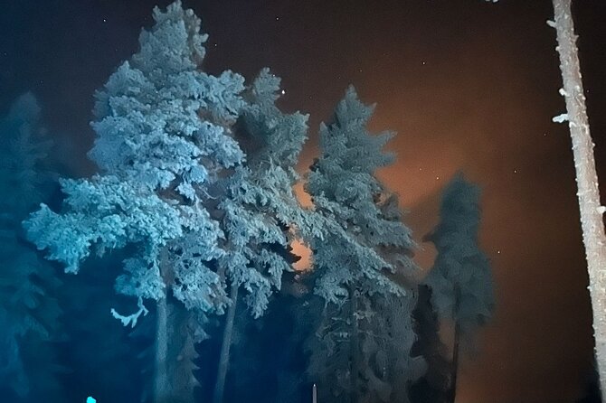 Northern Lights Dinner in a Glass Igloo - Reviews and Feedback