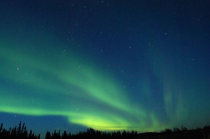Northern Lights Experience and Cabin Dinner - Inclusions and Amenities