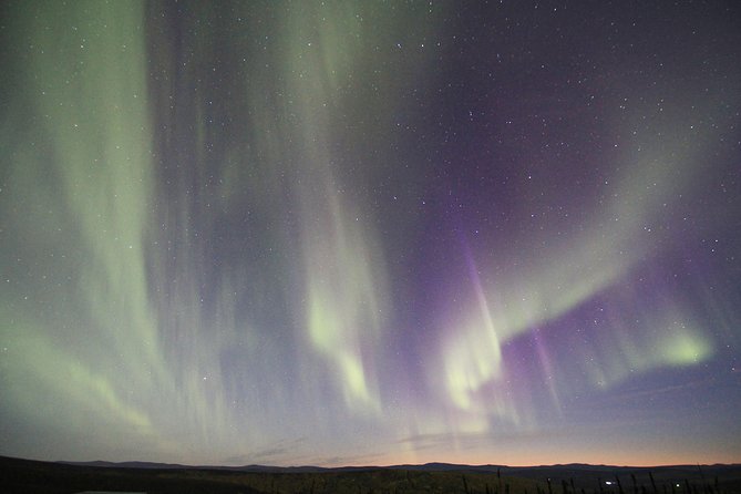 Northern Lights Experience and Cabin Dinner - Dining Menu and Offerings