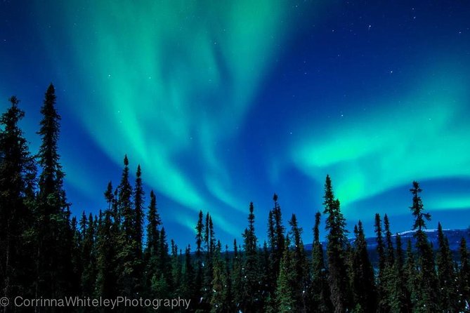 Northern Lights Experience and Cabin Dinner - Customer Reviews and Ratings