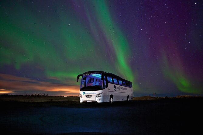 Northern Lights Guided Bus Tour From Reykjavik - Pickup Options