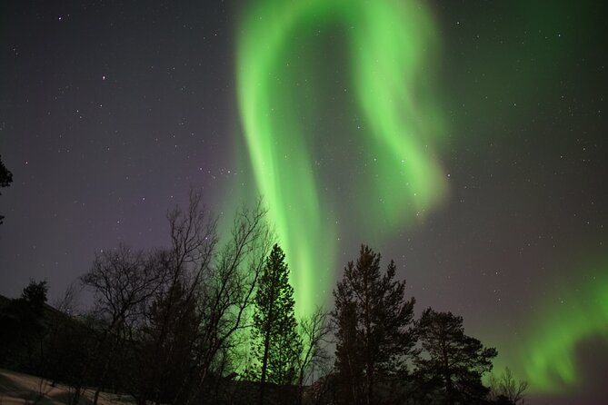 Northern Lights Hunt - What to Expect