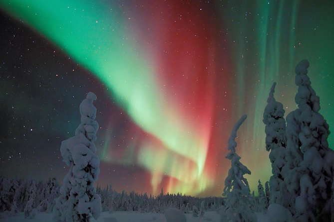 Northern Lights Hunt From Rovaniemi With Folk Tales and Snacks Over Campfire - Key Points