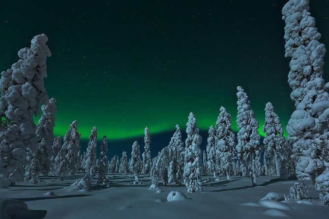 Northern Lights Hunt From Rovaniemi With Folk Tales and Snacks Over Campfire - Accessibility and Requirements