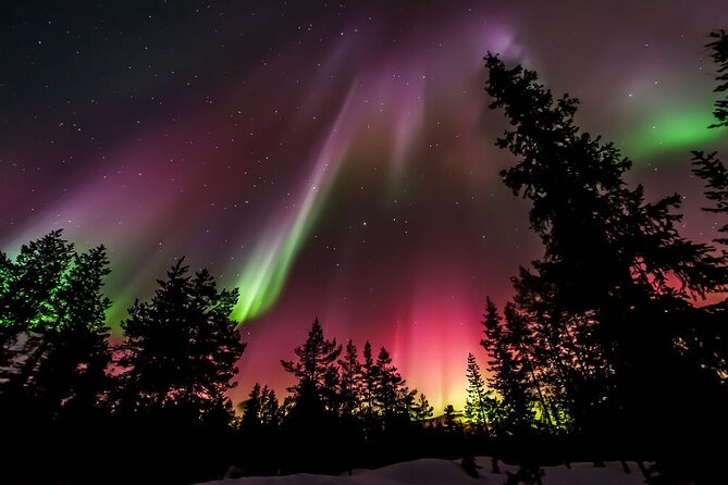 Northern Lights Hunt From Rovaniemi With Folk Tales and Snacks Over Campfire - Finnish Folk Tales and Storytelling