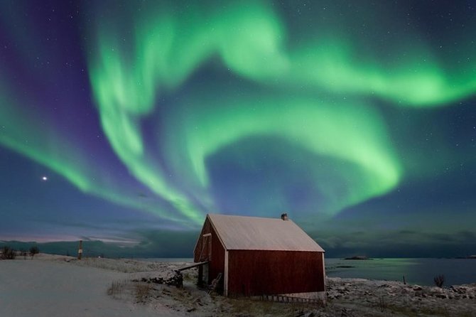 Northern Lights Hunt Including Snacks on Campfire From Levi - Customer Experiences