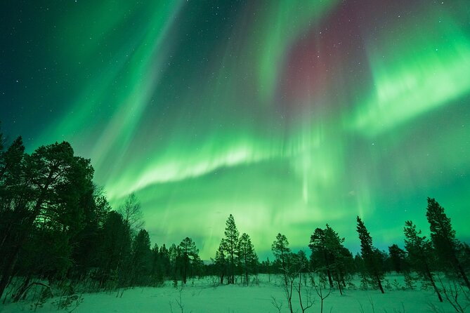 Northern Lights Hunt With the Green Adventure - Photos Included - Warm Soup and Marshmallows