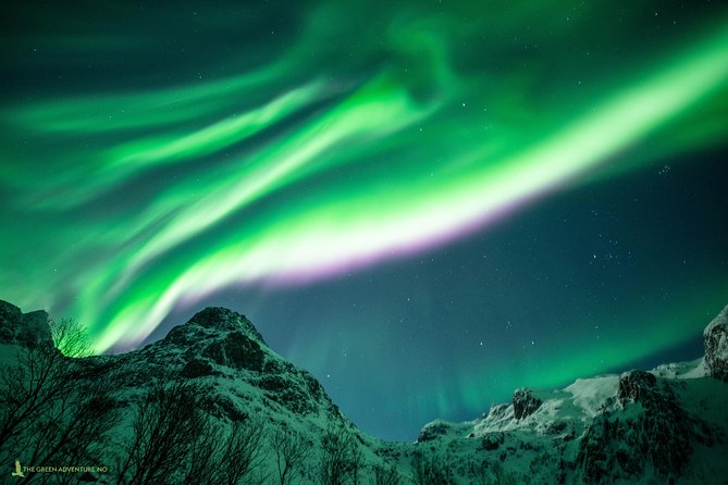 Northern Lights Hunt With the Green Adventure - Photos Included - Hotel Drop-off in Tromso