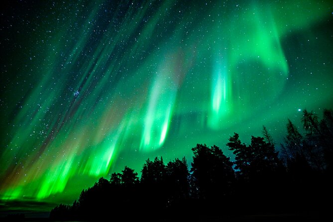Northern Lights Hunting Adventure in Lapland - Group Size and Pricing
