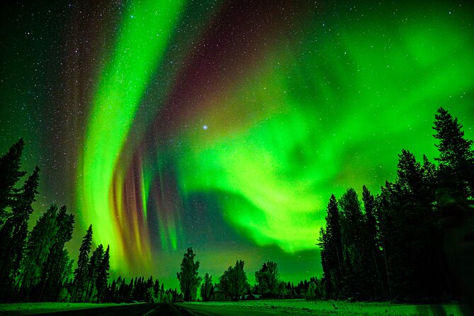 Northern Lights Hunting Adventure in Lapland - Dress Warmly for Arctic Conditions