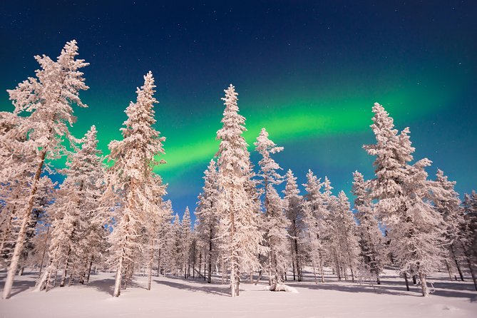 Northern Lights Hunting by Car - Gearing Up for the Night Adventure