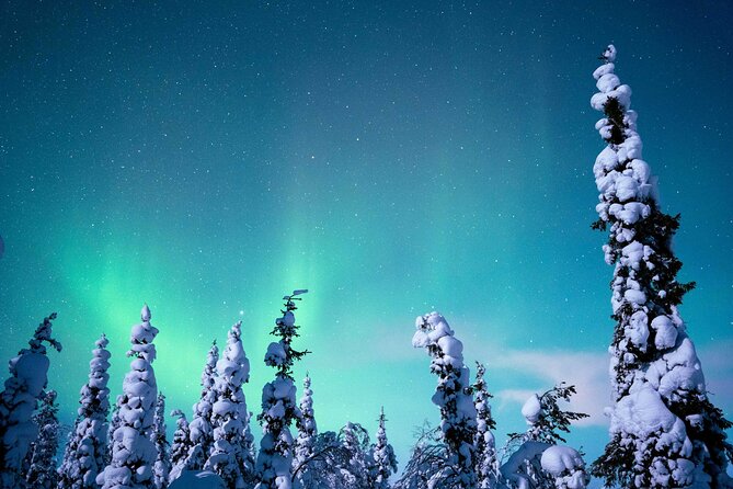 Northern Lights Hunting Photography Tour in Levi - Booking Information