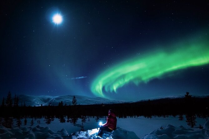 Northern Lights Hunting Tour From Rovaniemi With Guaranteed Views - Key Points