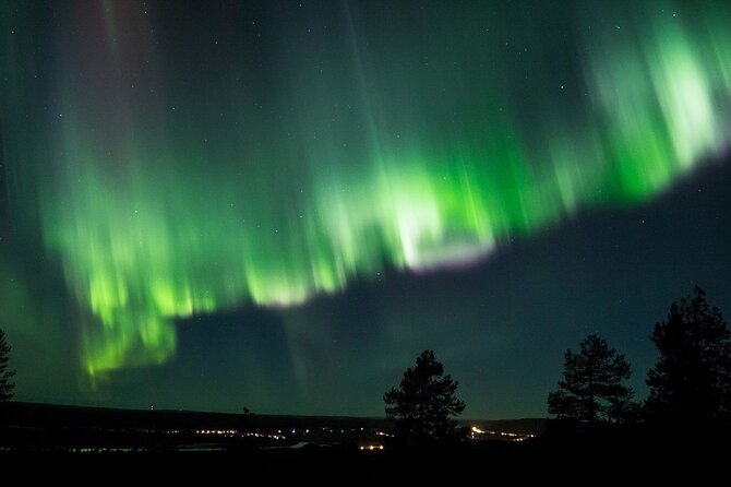Northern Lights Hunting Tour From Rovaniemi With Guaranteed Views - Expectations for the Tour