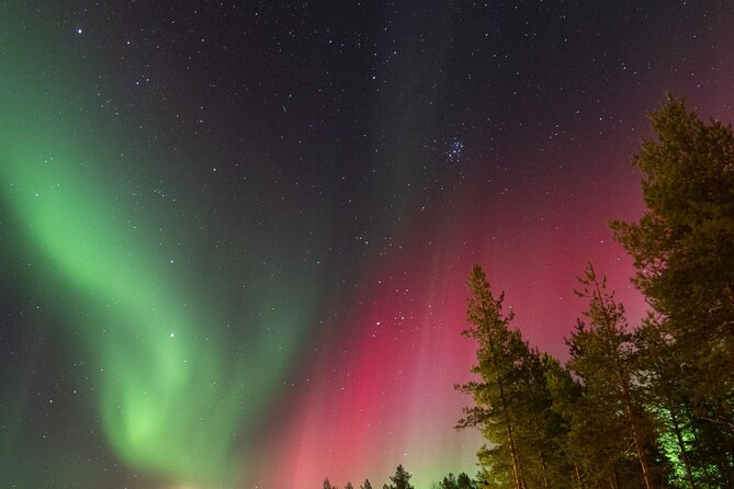 Northern Lights Hunting Tour From Rovaniemi With Guaranteed Views - Tour Highlights and Insights