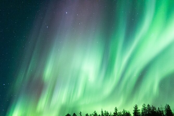 Northern Lights Hunting Tour From Rovaniemi With Guaranteed Views - Product Code and Contact Information