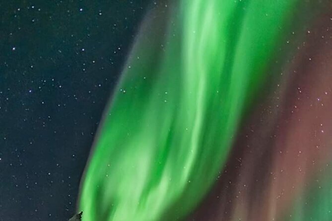 Northern Lights Hunting Tour Rovaniemi - Expert Weather and Aurora Guidance