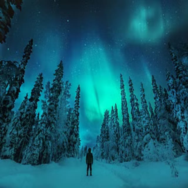 Northern Lights Hunting With Aurora Workshop - Inclusions