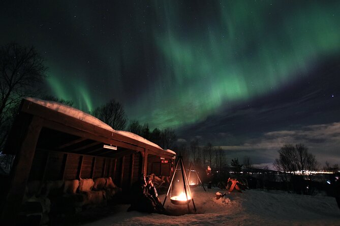 Northern Lights Husky Visit - Included Activities
