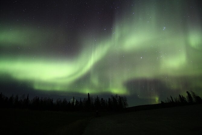 Northern Lights Murphy Dome Viewing in Fairbanks - Accessibility and Group Size