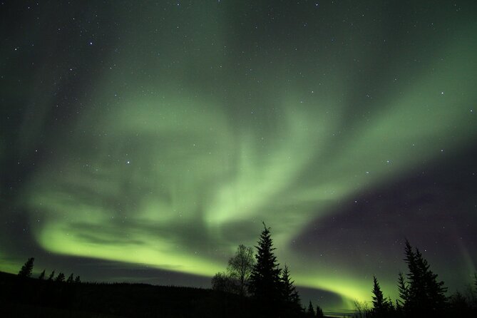 Northern Lights Murphy Dome Viewing in Fairbanks - Tour Operator Information